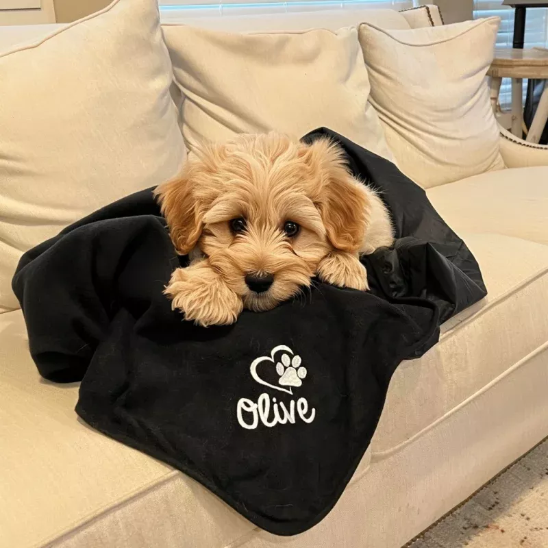 Personalized Waterproof Puppy Blanket – Custom Embroidery