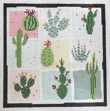 Pippin Studios – Cacti