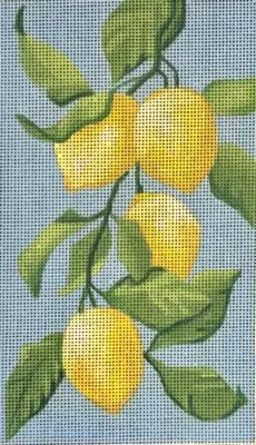 Raymond Crawford – Lemon Sunglass Case