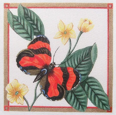 Sahron G – Scarlet Tiger Butterfly