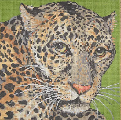 Sandra Gilmore– Jaguar