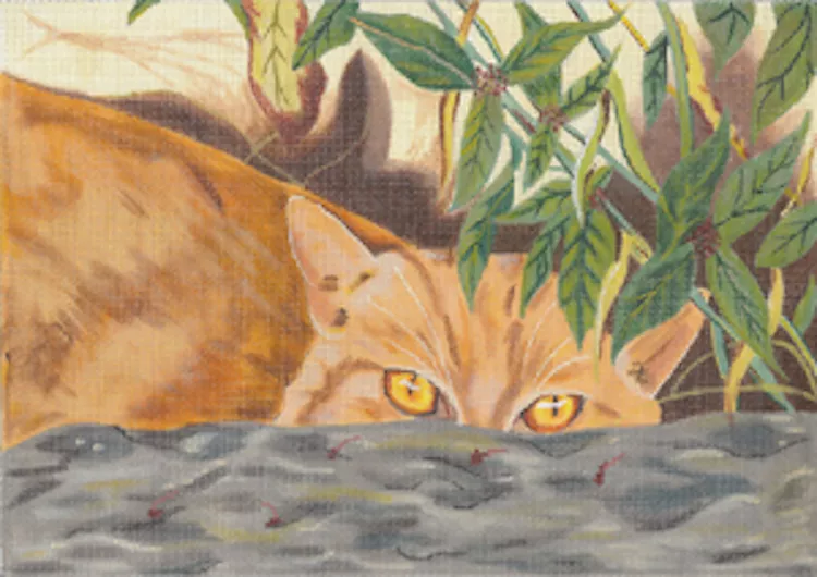 Sharon G – Stoney, Orange Tabby
