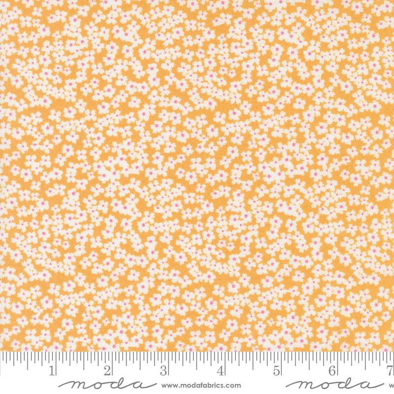 Shine Orangesicle Bloom Yardage by Sweetwater for Moda Fabrics