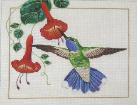 Shorebird Designs – Blue Throated Hummingbird