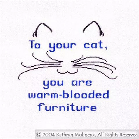 Shorebird Designs – “Cat/Furniture”