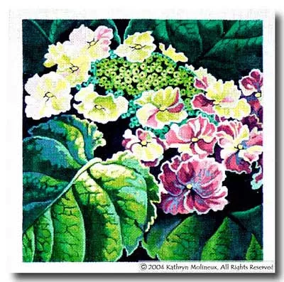 Shorebird Designs –Lace-Cap Hydrangea
