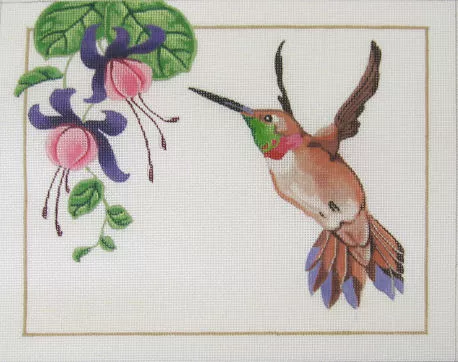 Shorebird Designs – Rufous Hummingbird