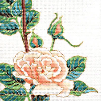 Shorebird Designs – Squares: Summer