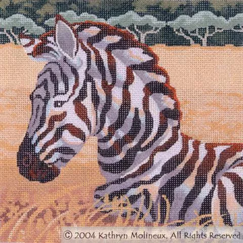 Shorebird Designs – Squares: Zebra Foal
