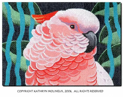 Shorebirds Designs – Details: Moluccan Cockatoo