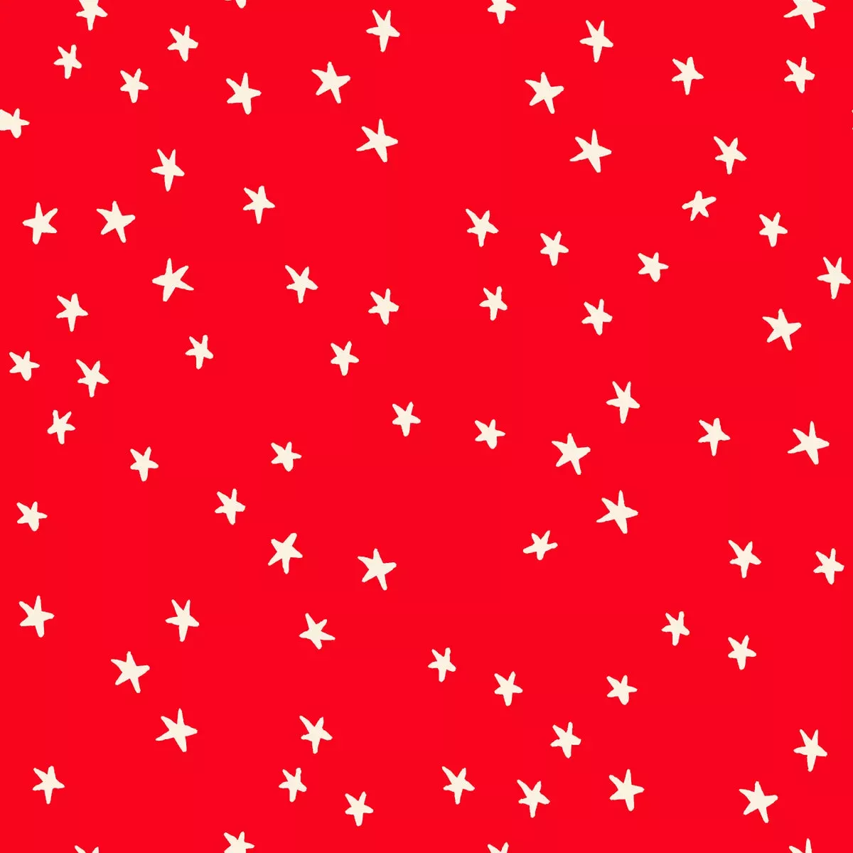 Starry – Ladybug