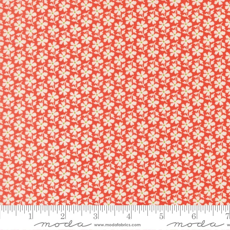 Summer’s End Persimmon Daisies Yardage by Fig Tree & Co. for Moda Fabrics