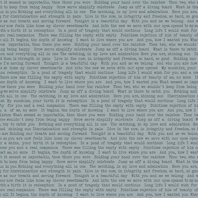 Sun Print 2022 | Alison Glass | Text – Stone