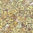 Sundance 6mm Sequins – Gold Shimmer