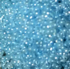 Sundance Beads – Blue Jay NEW COLOR