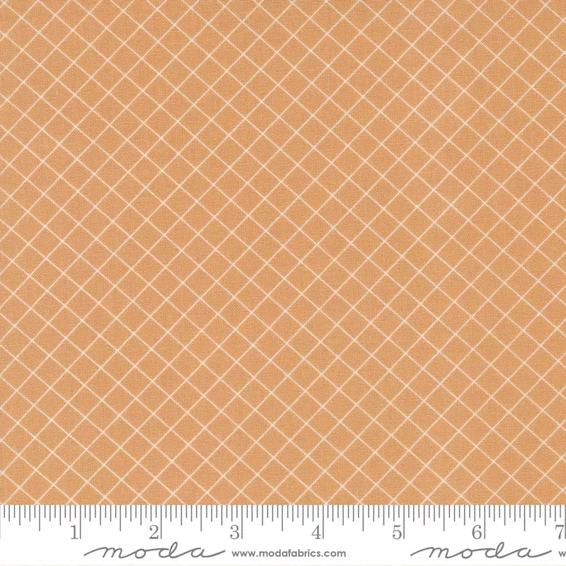 Sunnyside Apricot Graph Yardage by Camille Roskelley for Moda Fabrics