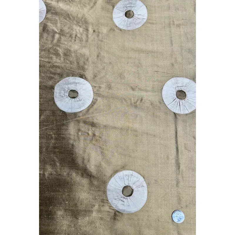 Tan/Beige Embroidered Dupioni Silk