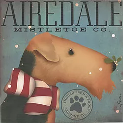 Tango & Chocolate – Airedale Mistletoe