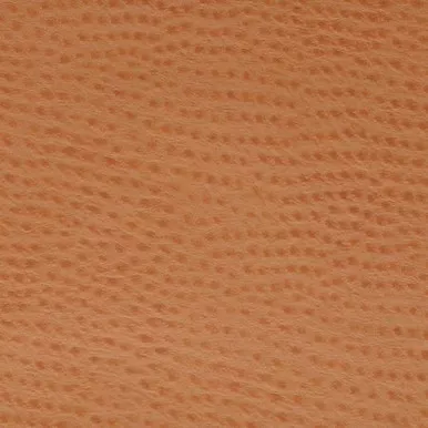 TPH005 Nassimi PHOENIX CHUTNEY TPH005 Furniture / Auto Upholstery Vinyl Fabric