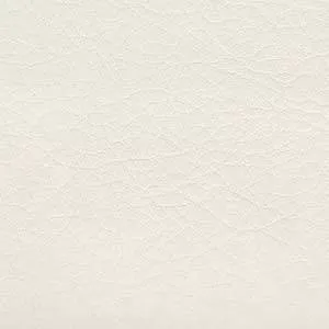 WHI2117 Spradling WHISPER BONE Faux Leather Upholstery Vinyl Fabric