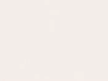 Wholesale Rip Stop Nylon Fabric - White - 20 Yards