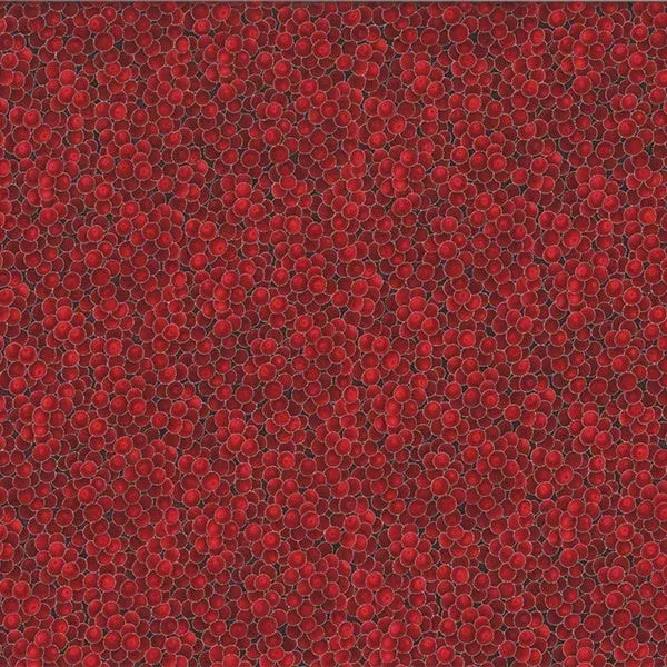 Winter Magic G8556 5S Red Silver fabric by Hoffman Fabrics