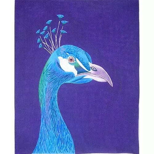 Zecca Designs – Peacock Portrait