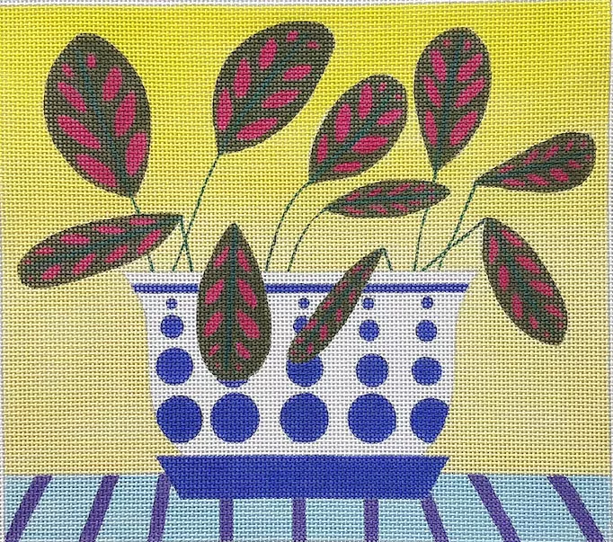 Zecca Designs – Prayer Plant