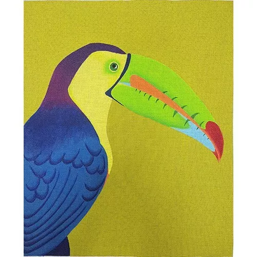 Zecca Designs – Toucan Portrait
