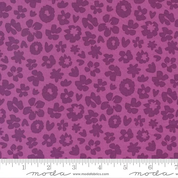 Zinnia Cyclamen 24133 13 Moda #1