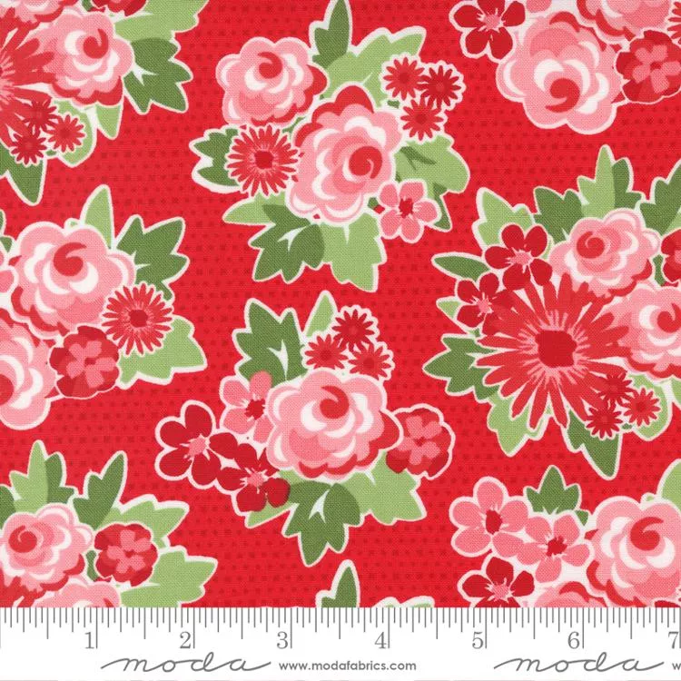 Zinnia Ruby 24130 15 Moda #1