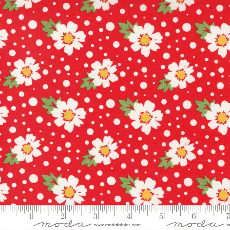 Zinnia Ruby 24131 15 Moda #1