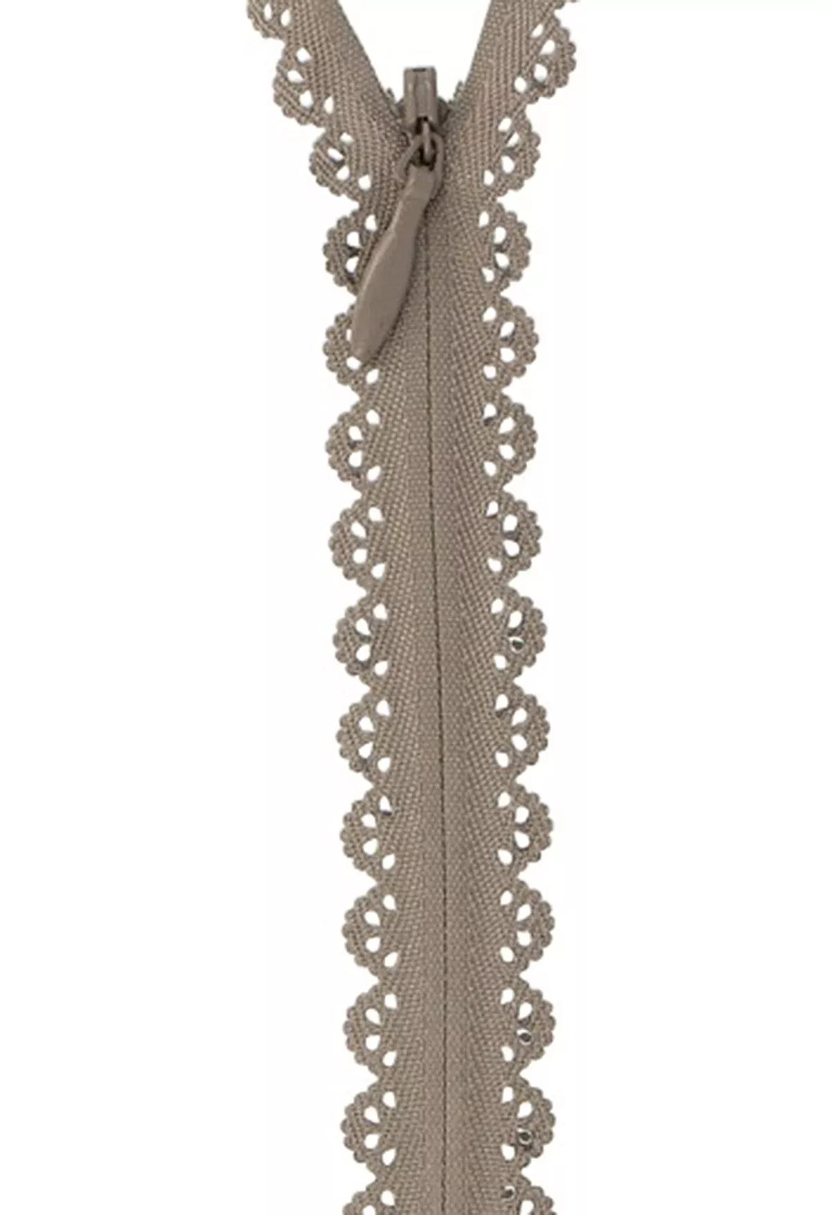 Zipper Lace 40cm, 19mm wide, taupe